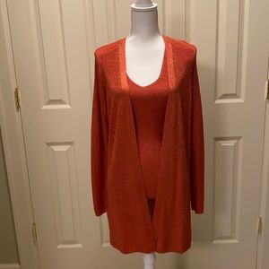 Ann Taylor Sweater Set